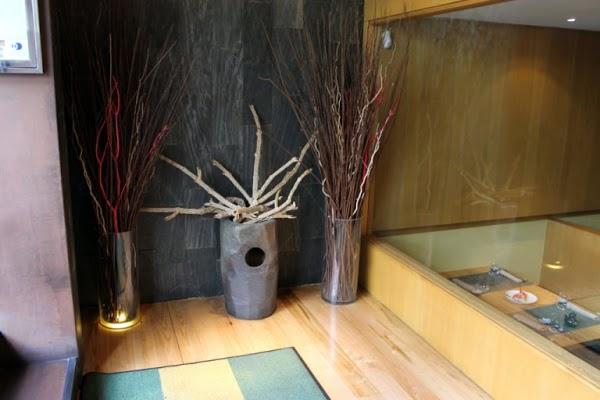 Imagen 1 tuwebpet.com foto