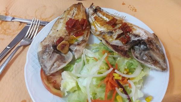 Imagen 101 IES Rei en Jaume foto