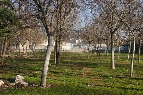 Imagen 109 IES Rei en Jaume foto