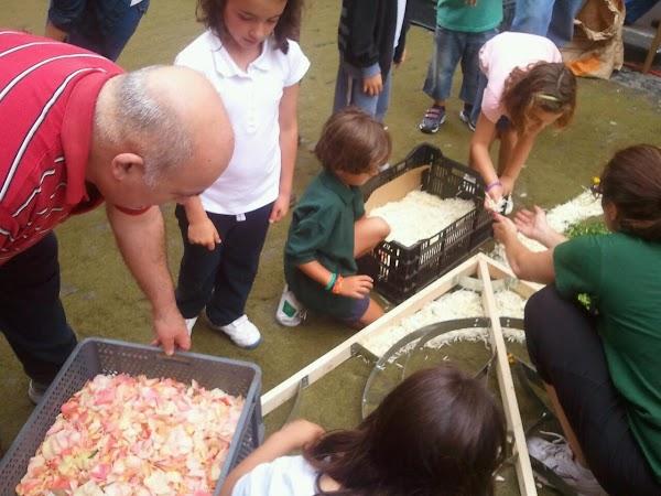 Imagen 1 Army National Guard foto