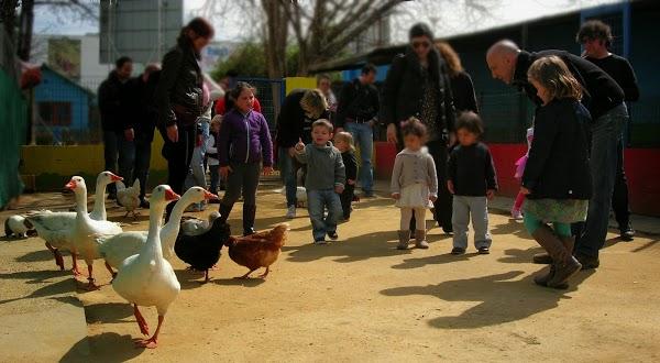 Imagen 45 Granja escuela La Buhardilla foto
