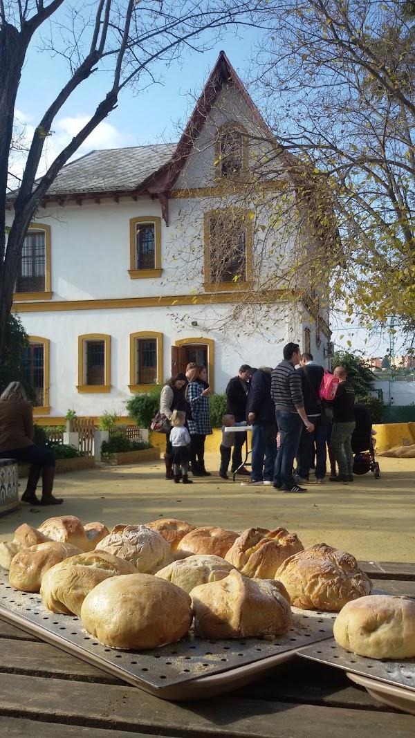 Imagen 71 Granja escuela La Buhardilla foto