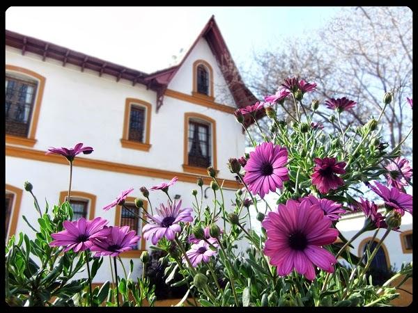 Imagen 79 Granja escuela La Buhardilla foto