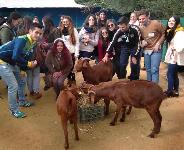 Imagen 84 Granja escuela La Buhardilla foto