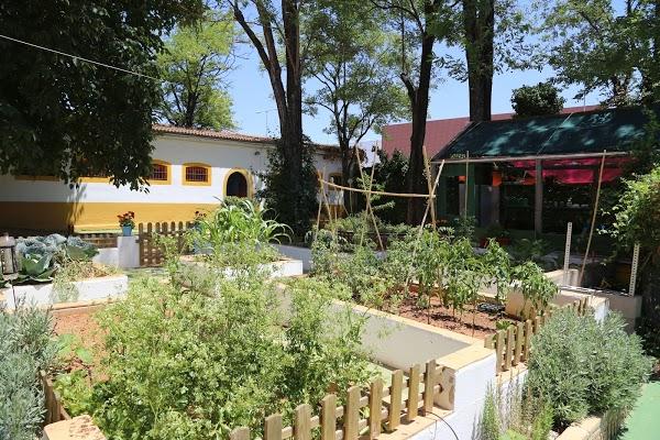 Imagen 94 Granja escuela La Buhardilla foto