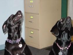 Imagen 4 Unicaja foto