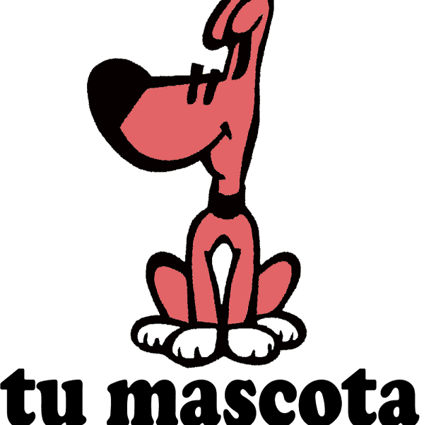 Imagen 16 Parroquia de San Francisco de Asís foto