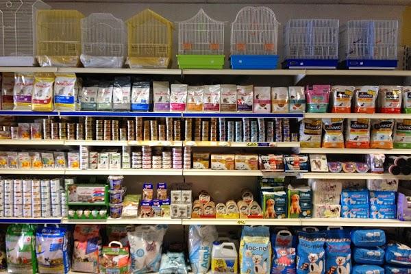 Imagen 18 Parroquia de San Francisco de Asís foto