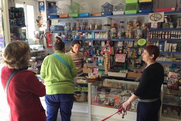 Imagen 20 Parroquia de San Francisco de Asís foto