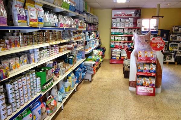 Imagen 21 Parroquia de San Francisco de Asís foto