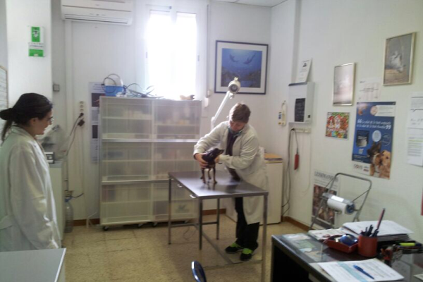 Imagen 23 Parroquia de San Francisco de Asís foto