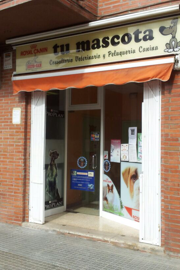 Imagen 26 Parroquia de San Francisco de Asís foto