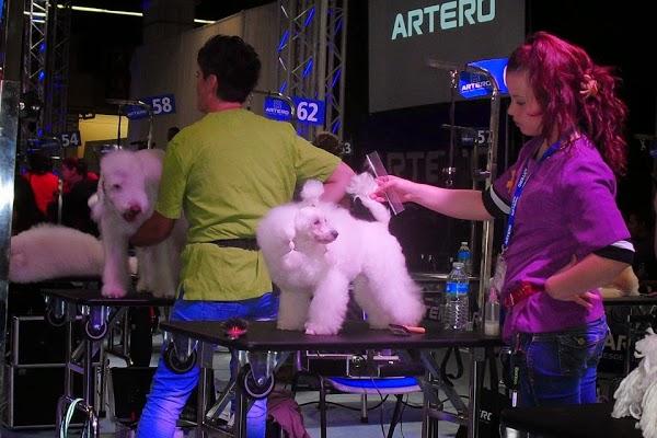 Imagen 28 Parroquia de San Francisco de Asís foto