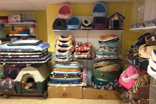 Imagen 29 Parroquia de San Francisco de Asís foto