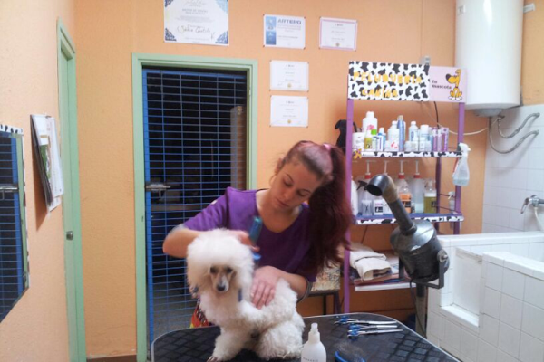 Imagen 30 Parroquia de San Francisco de Asís foto