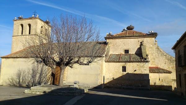 Imagen 26 Casey Family Chiropractic foto