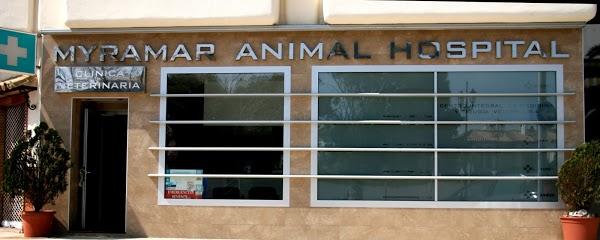 Imagen 101 Veterinarios-Myramar Animal Hospital foto