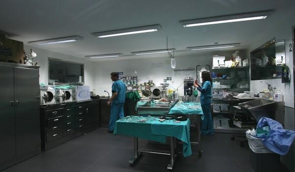 Imagen 104 Veterinarios-Myramar Animal Hospital foto
