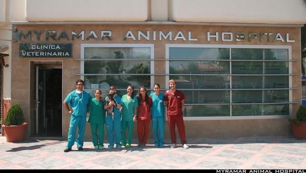 Imagen 110 Veterinarios-Myramar Animal Hospital foto