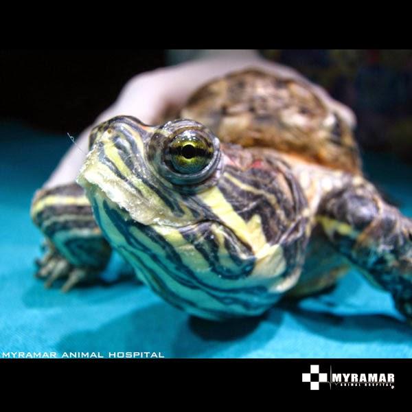 Imagen 16 Centro de Danza y Pilates Alegría y Javier foto