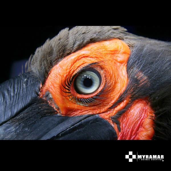 Imagen 20 Centro de Danza y Pilates Alegría y Javier foto