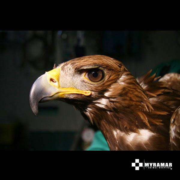 Imagen 26 Centro de Danza y Pilates Alegría y Javier foto