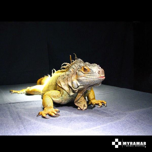 Imagen 4 Centro de Danza y Pilates Alegría y Javier foto