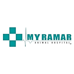 Imagen 31 Centro de Danza y Pilates Alegría y Javier foto