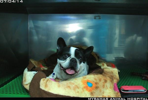 Imagen 57 Centro de Danza y Pilates Alegría y Javier foto