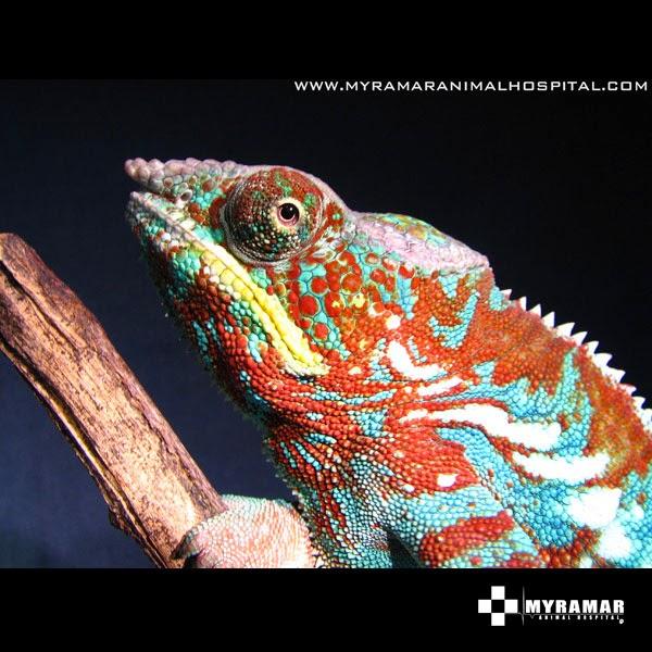 Imagen 60 Centro de Danza y Pilates Alegría y Javier foto