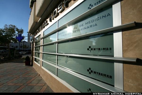 Imagen 62 Centro de Danza y Pilates Alegría y Javier foto