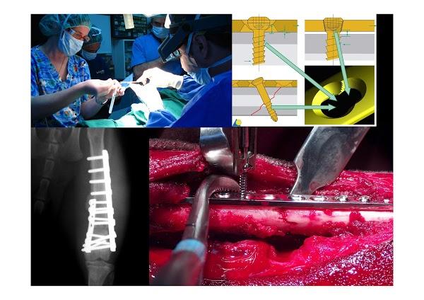 Imagen 68 Centro de Danza y Pilates Alegría y Javier foto