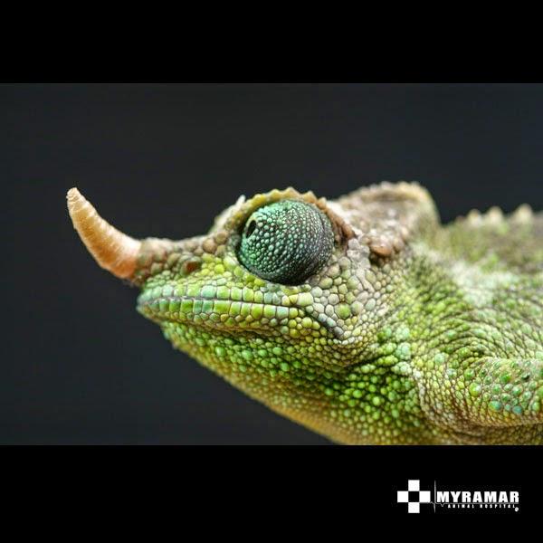 Imagen 8 Centro de Danza y Pilates Alegría y Javier foto