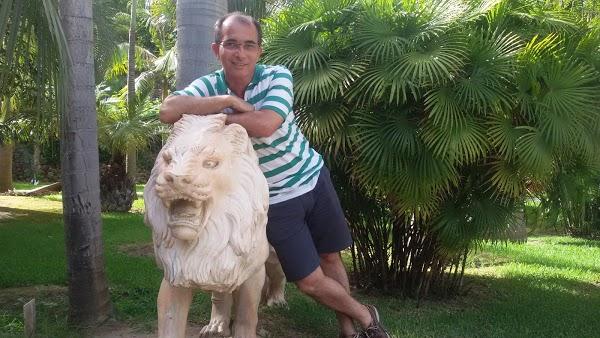 Imagen 13 Roger's Gardens foto