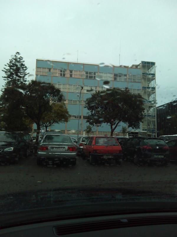 Imagen 33 MAS MADERA, MUEBLES EN VALDEMORO foto
