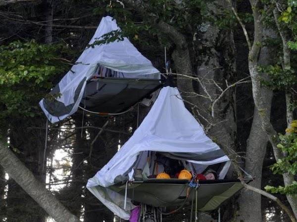 Imagen 16 Our Lady of Perpetual Help Parish Church foto