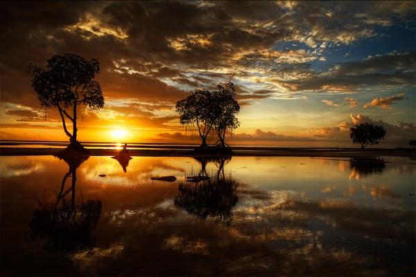 Imagen 18 Our Lady of Perpetual Help Parish Church foto