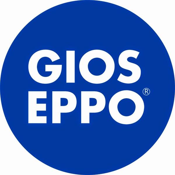 Imagen 8 Aro y Pedal foto