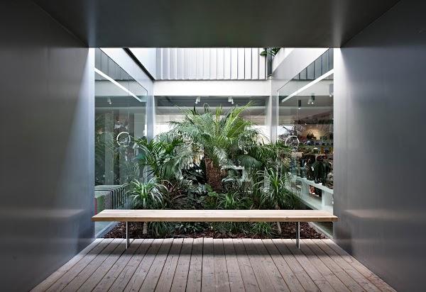 Imagen 10 Aro y Pedal foto