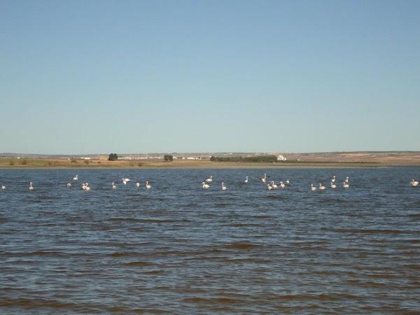 Imagen 19 Hostal Rural Plaza** foto