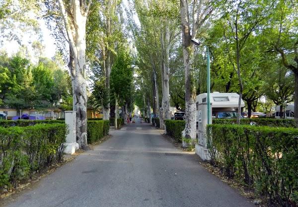 Imagen 45 Hostal Rural Plaza** foto