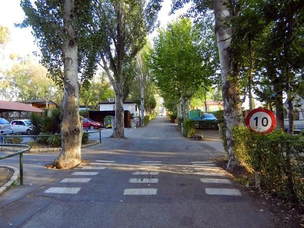 Imagen 68 Freneria Lopez S.L. foto