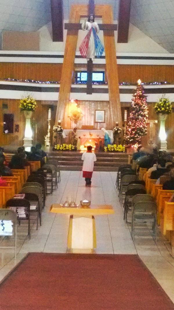 Imagen 123 Alambique Bar foto