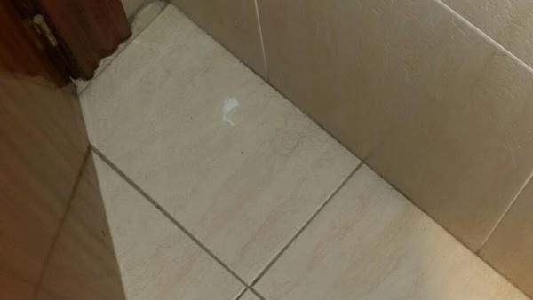 Imagen 10 Alambique Bar foto