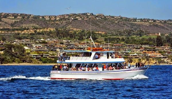 Imagen 2 RM EXPRESS foto