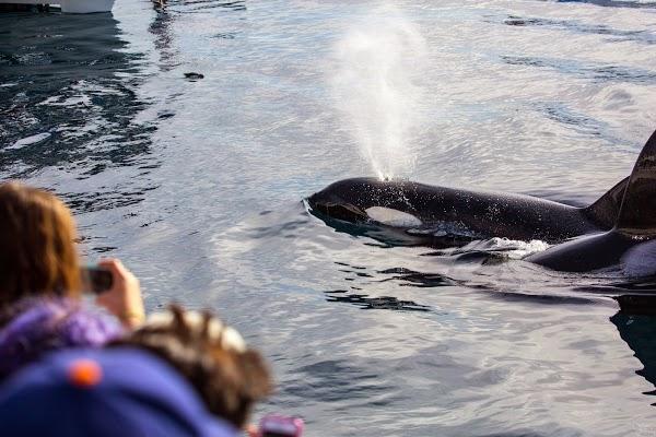 Imagen 3 RM EXPRESS foto