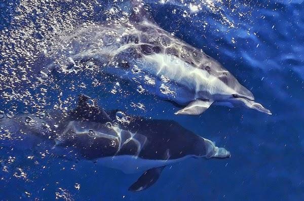 Imagen 6 RM EXPRESS foto