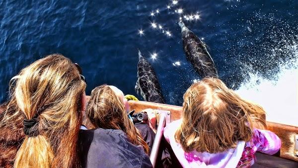 Imagen 8 RM EXPRESS foto