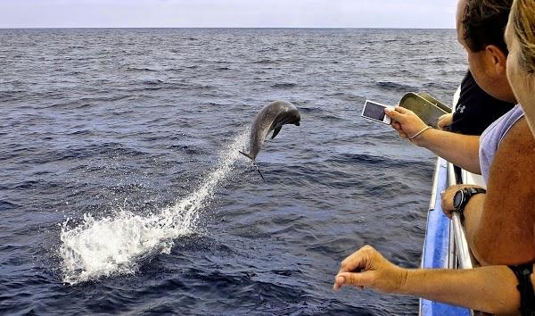 Imagen 9 RM EXPRESS foto