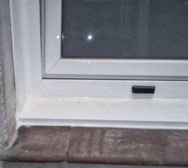 Imagen 19 Jeni Sport SL foto